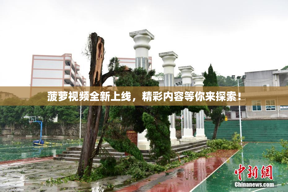 菠萝视频全新上线，精彩内容等你来探索！