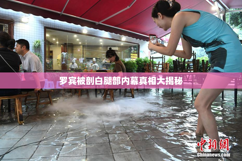 罗宾被剖白腿部内幕真相大揭秘
