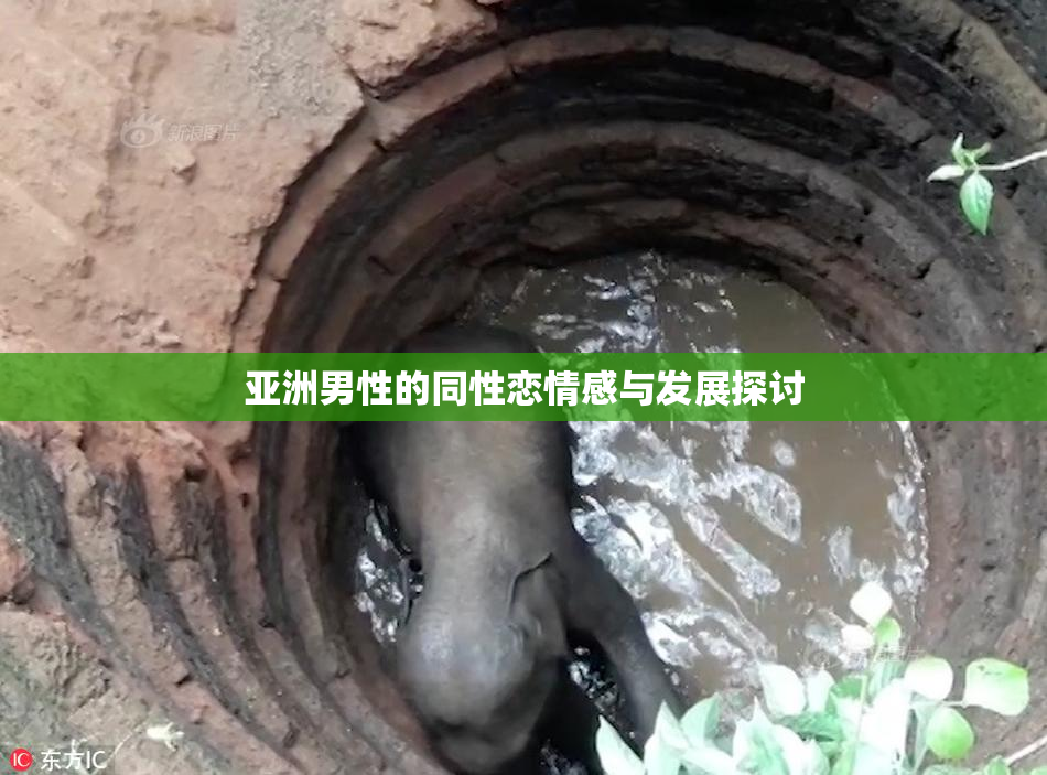 亚洲男性的同性恋情感与发展探讨