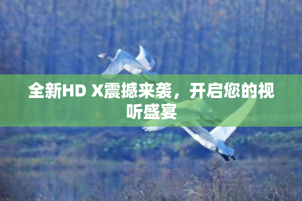 全新HD X震撼来袭，开启您的视听盛宴