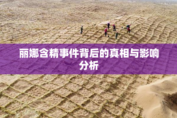 丽娜含精事件背后的真相与影响分析