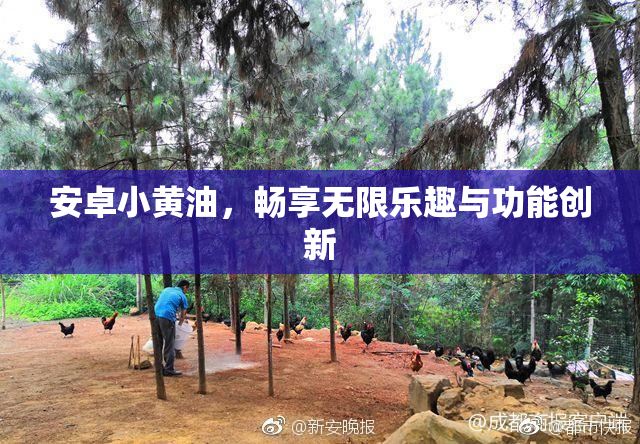 安卓小黄油，畅享无限乐趣与功能创新