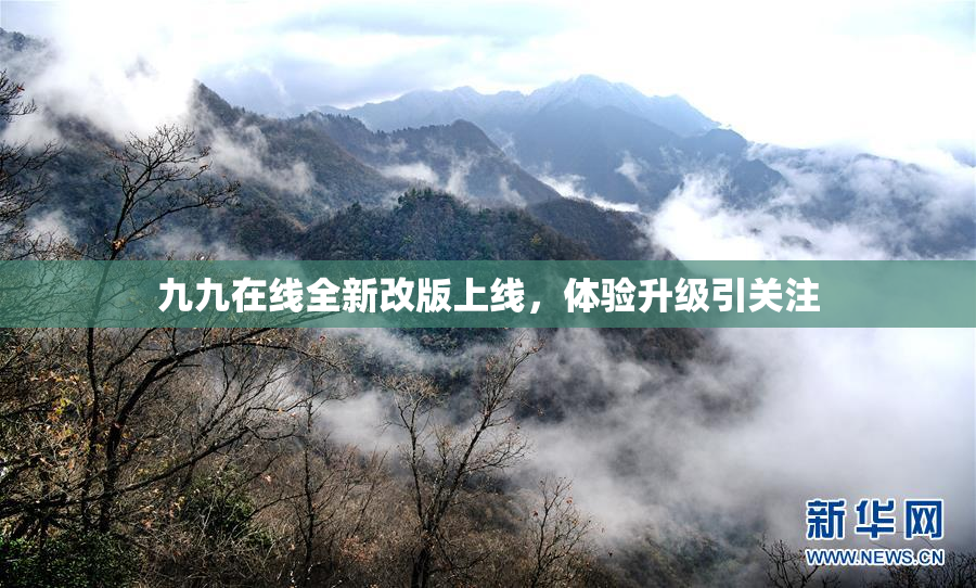 九九在线全新改版上线，体验升级引关注