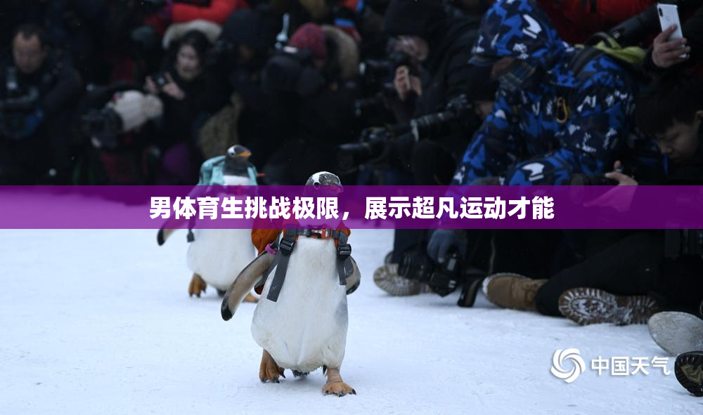 男体育生挑战极限，展示超凡运动才能