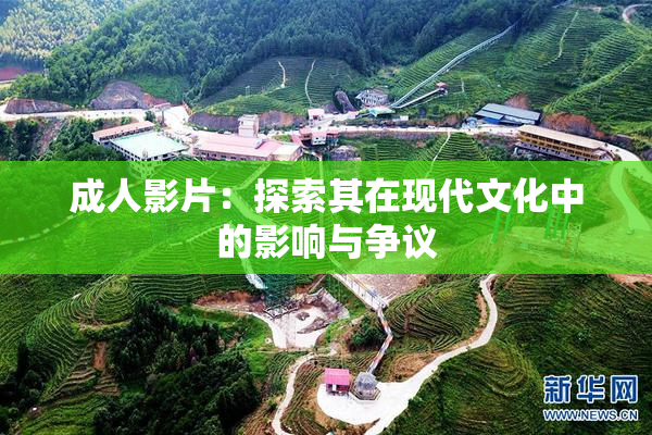 成人影片：探索其在现代文化中的影响与争议