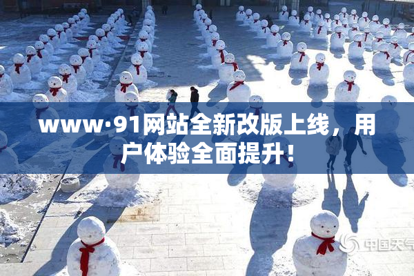 www·91网站全新改版上线，用户体验全面提升！