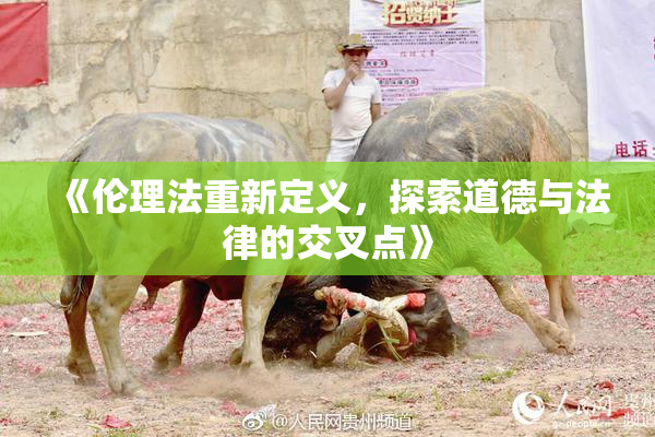 《伦理法重新定义，探索道德与法律的交叉点》