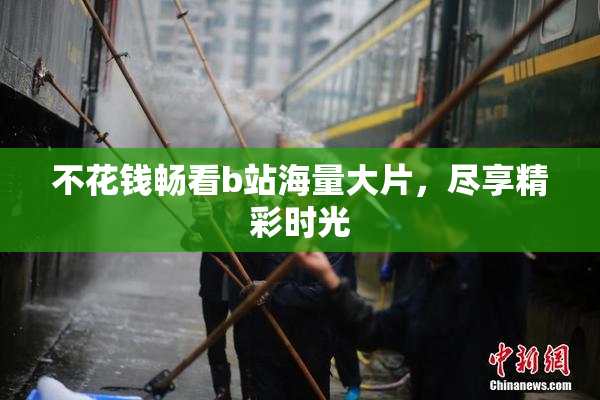 不花钱畅看b站海量大片，尽享精彩时光