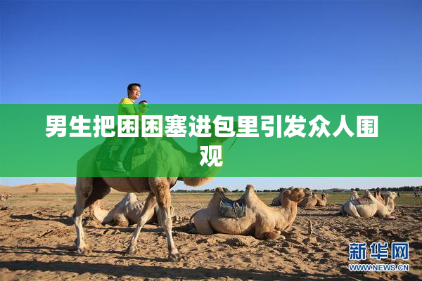 男生把困困塞进包里引发众人围观