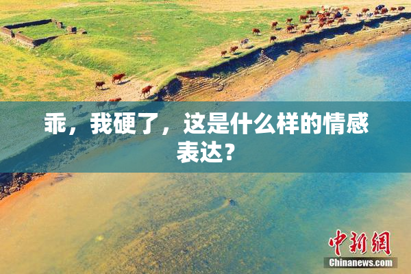 乖，我硬了，这是什么样的情感表达？