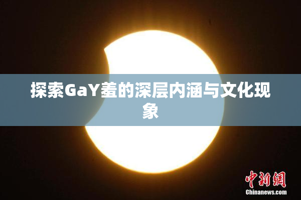 探索GaY羞的深层内涵与文化现象