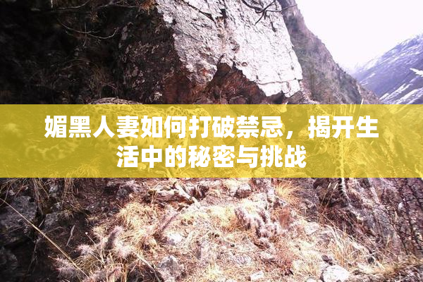 媚黑人妻如何打破禁忌，揭开生活中的秘密与挑战