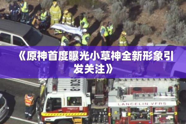 《原神首度曝光小草神全新形象引发关注》