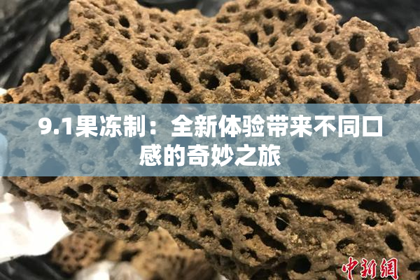9.1果冻制：全新体验带来不同口感的奇妙之旅