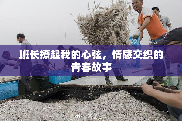 班长撩起我的心弦，情感交织的青春故事