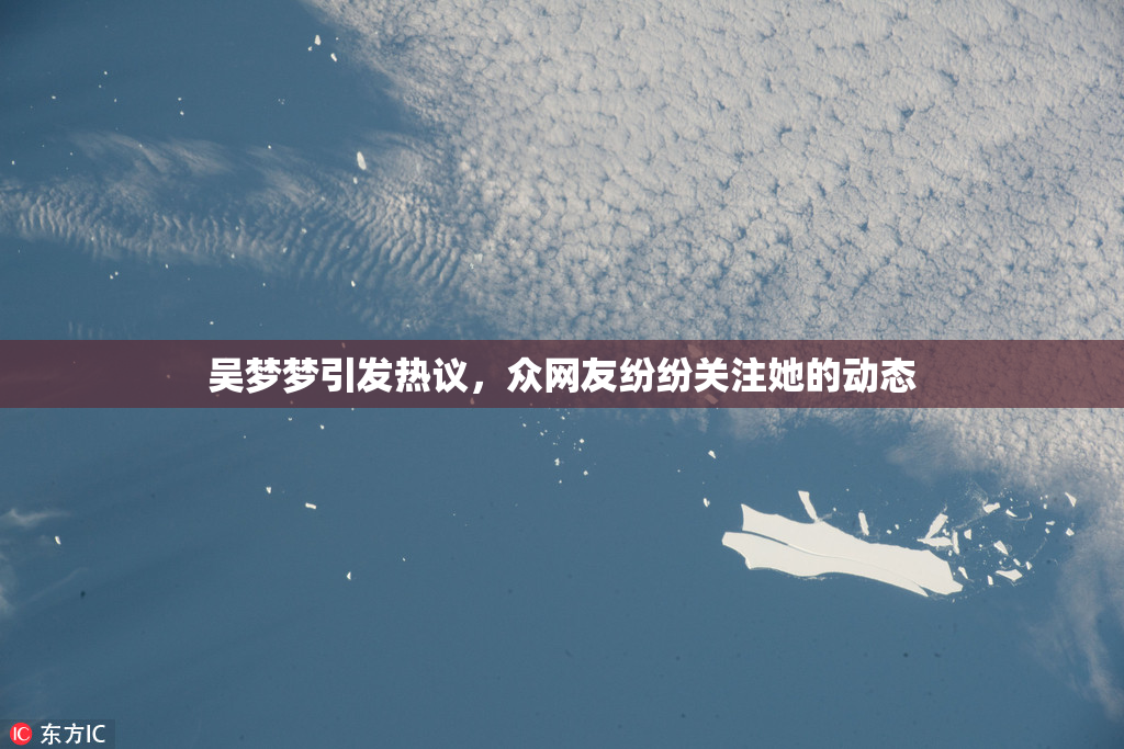 吴梦梦引发热议，众网友纷纷关注她的动态