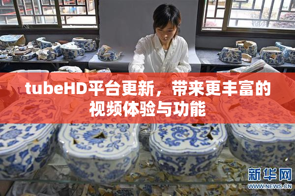 tubeHD平台更新，带来更丰富的视频体验与功能