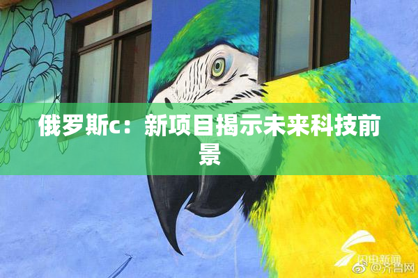 俄罗斯c：新项目揭示未来科技前景