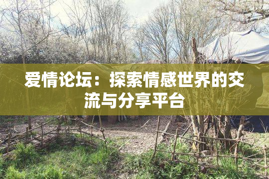 爱情论坛：探索情感世界的交流与分享平台