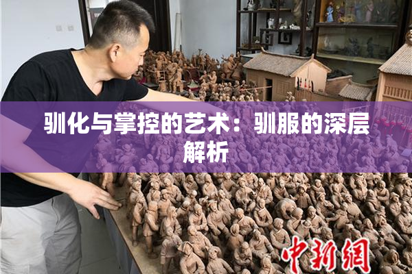 驯化与掌控的艺术：驯服的深层解析