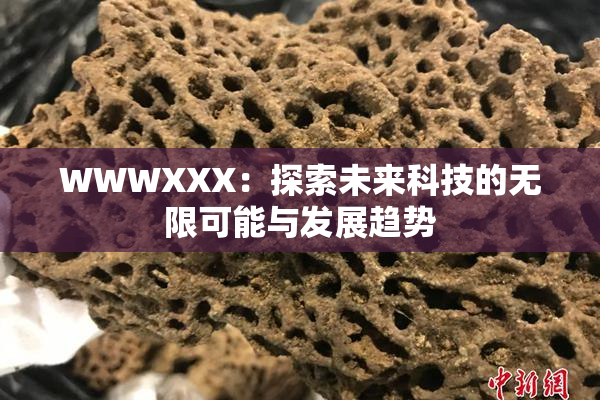 WWWXXX：探索未来科技的无限可能与发展趋势