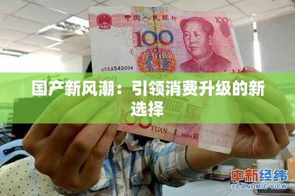 国产新风潮：引领消费升级的新选择