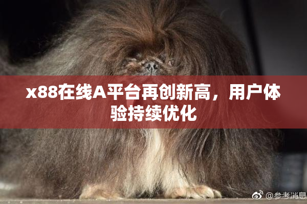 x88在线A平台再创新高，用户体验持续优化