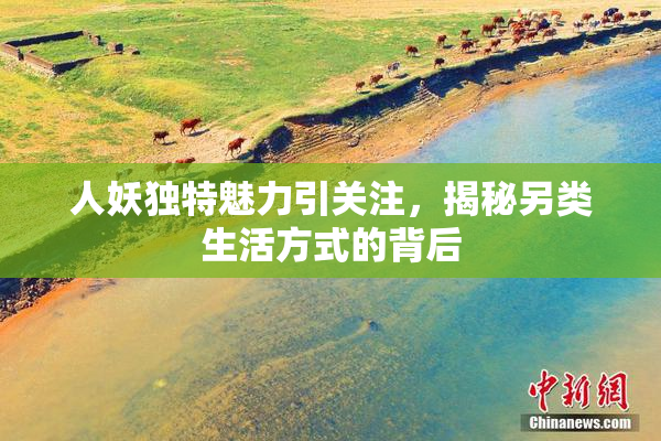 人妖独特魅力引关注，揭秘另类生活方式的背后