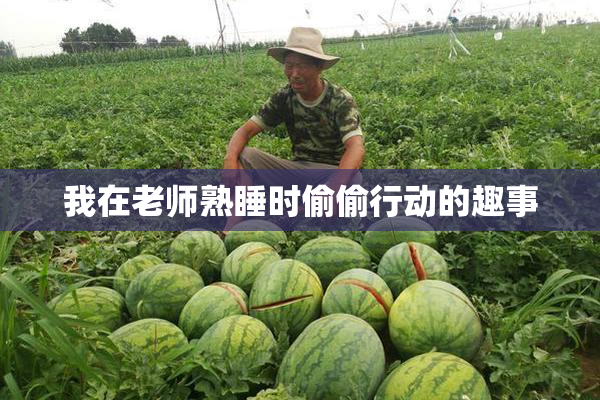 我在老师熟睡时偷偷行动的趣事