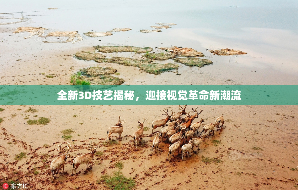 全新3D技艺揭秘，迎接视觉革命新潮流