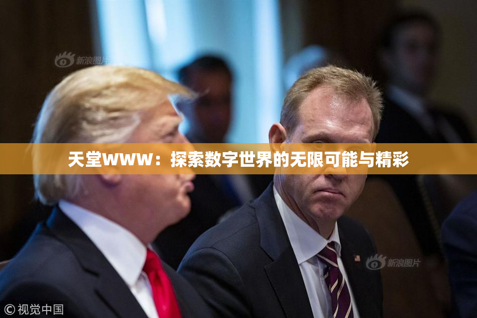 天堂WWW：探索数字世界的无限可能与精彩