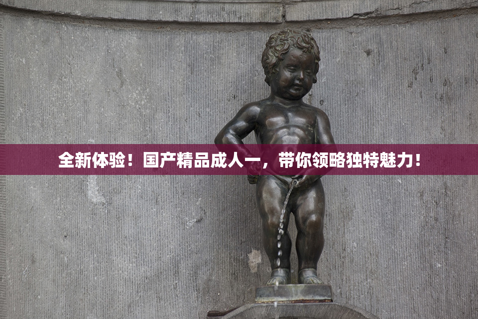 全新体验！国产精品成人一，带你领略独特魅力！