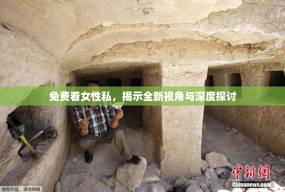 免费看女性私，揭示全新视角与深度探讨