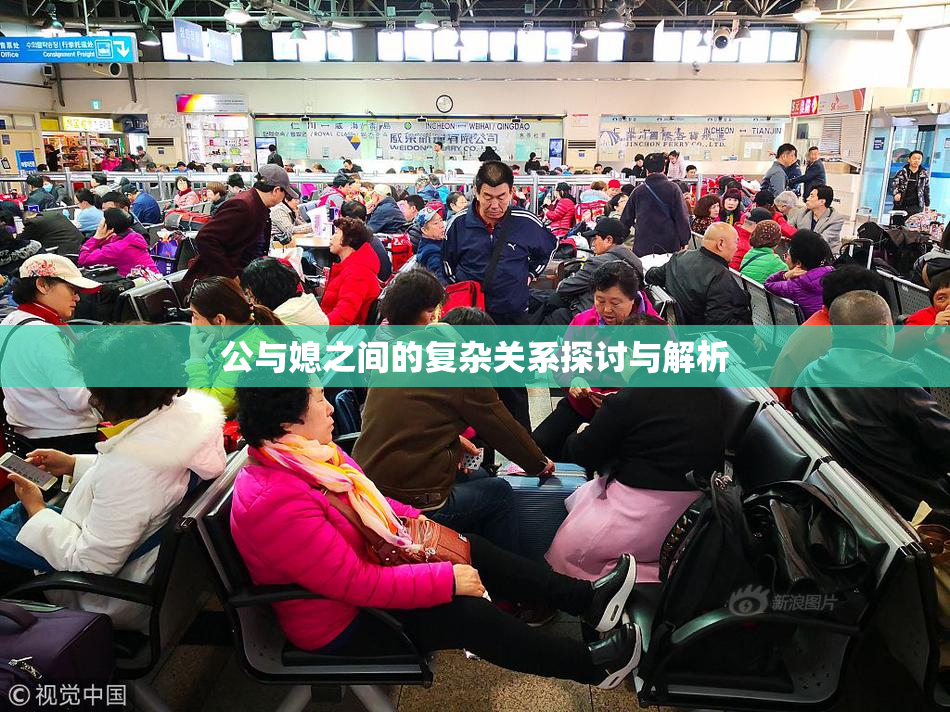 公与媳之间的复杂关系探讨与解析