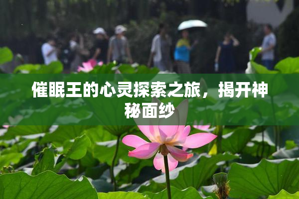 催眠王的心灵探索之旅，揭开神秘面纱