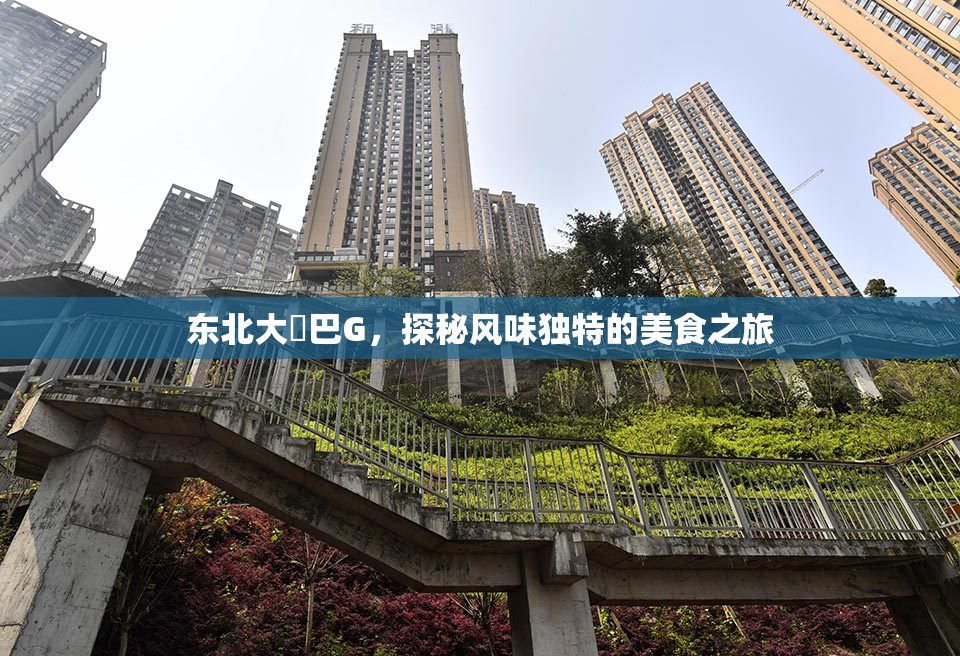 东北大鷄巴G，探秘风味独特的美食之旅