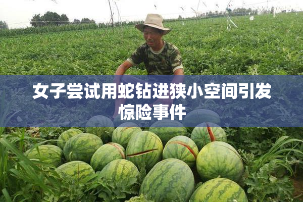 女子尝试用蛇钻进狭小空间引发惊险事件