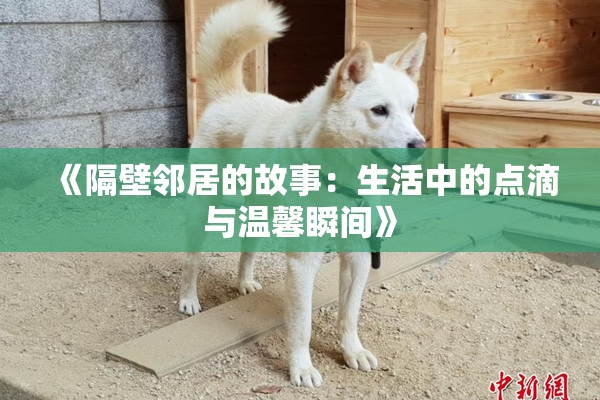 《隔壁邻居的故事：生活中的点滴与温馨瞬间》