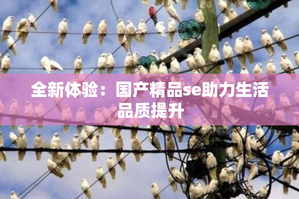 全新体验：国产精品se助力生活品质提升