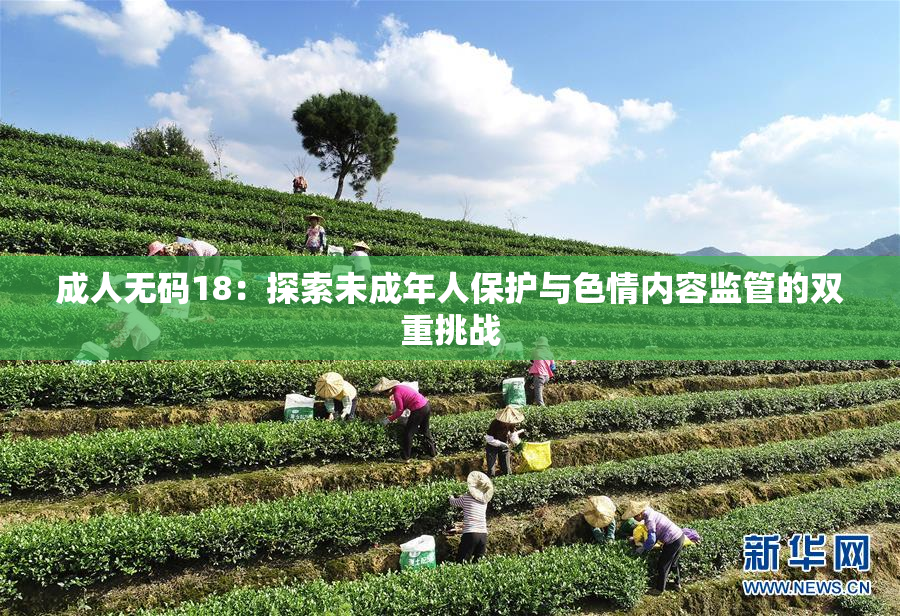 成人无码18：探索未成年人保护与色情内容监管的双重挑战