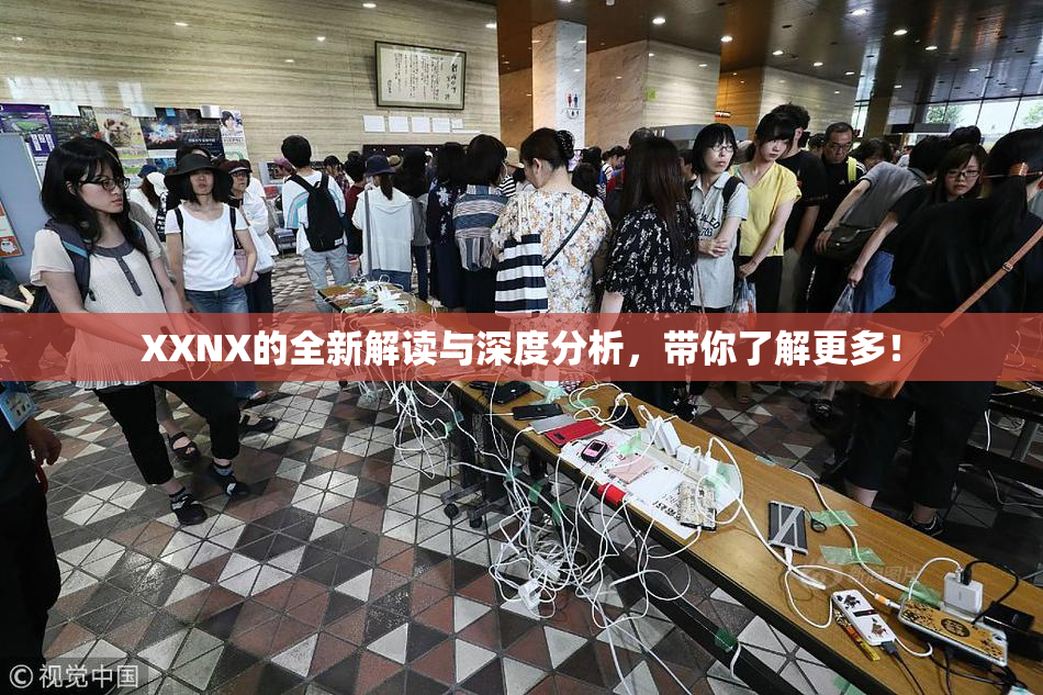 XXNX的全新解读与深度分析，带你了解更多！