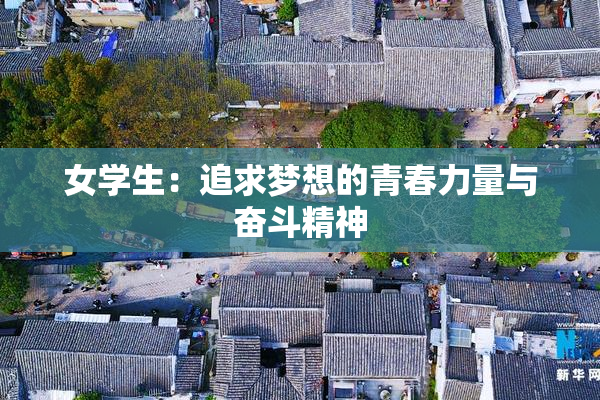 女学生：追求梦想的青春力量与奋斗精神