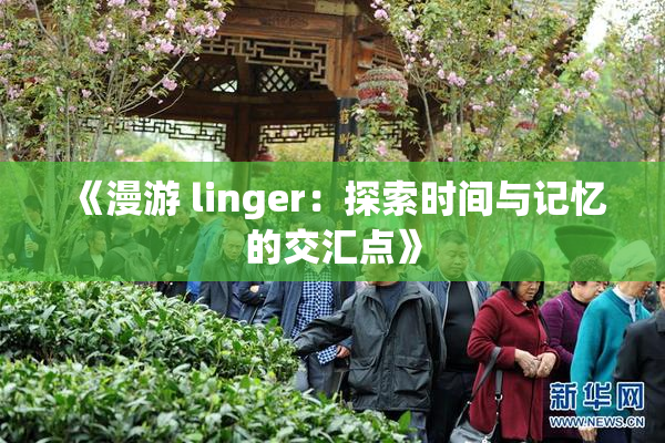 《漫游 linger：探索时间与记忆的交汇点》