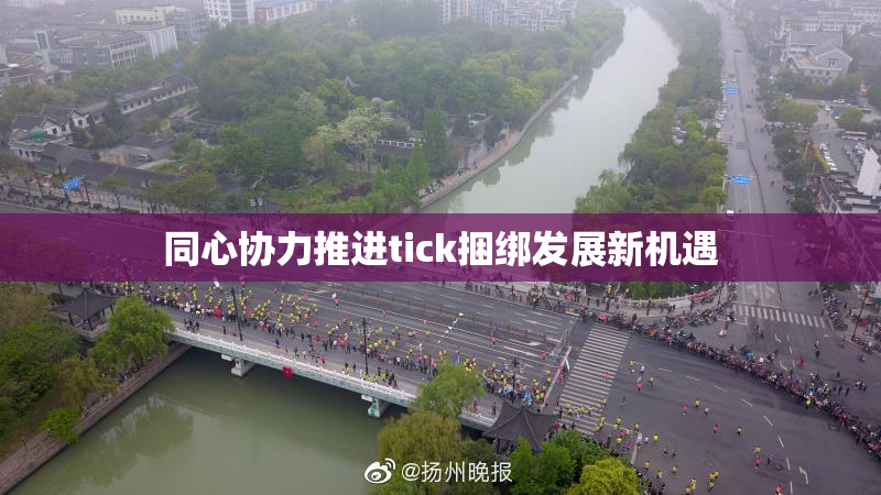 同心协力推进tick捆绑发展新机遇