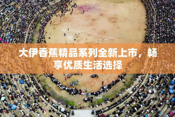 大伊香蕉精品系列全新上市，畅享优质生活选择