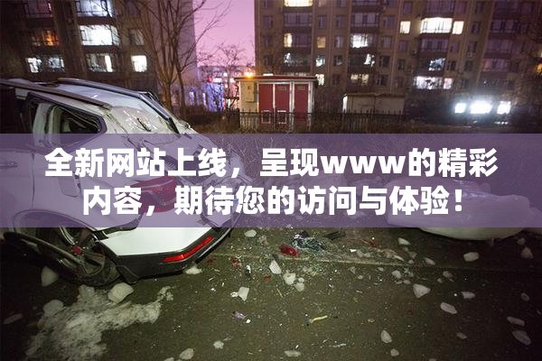 全新网站上线，呈现www的精彩内容，期待您的访问与体验！