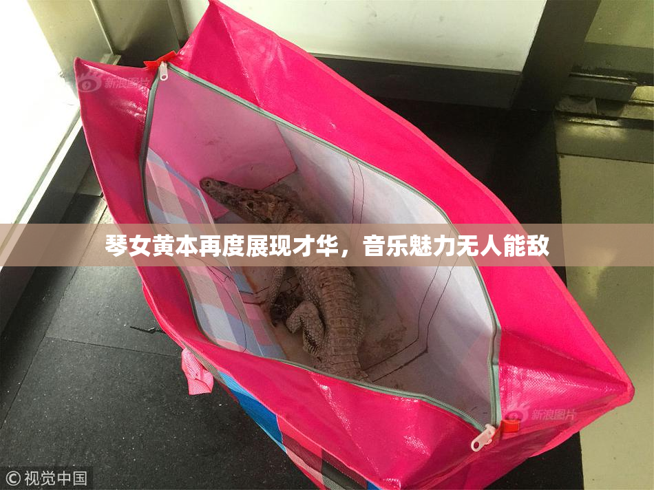琴女黄本再度展现才华，音乐魅力无人能敌