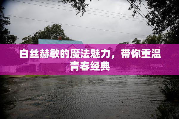 白丝赫敏的魔法魅力，带你重温青春经典