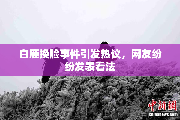 白鹿换脸事件引发热议，网友纷纷发表看法