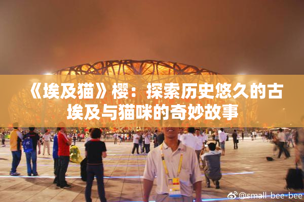 《埃及猫》樱：探索历史悠久的古埃及与猫咪的奇妙故事
